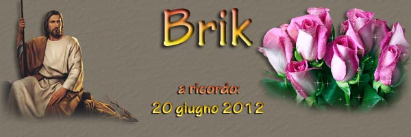 Brik