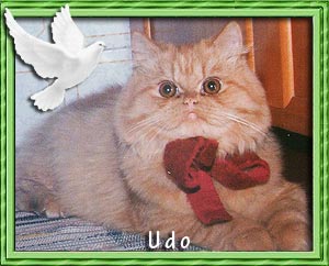 Udo