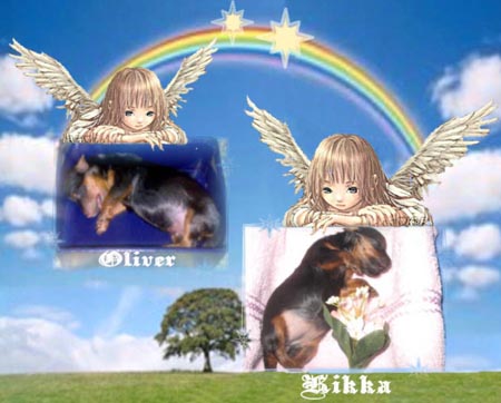 Oliver Kikka