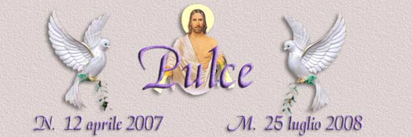 Titolo Pulce